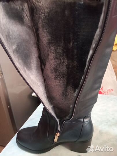 Сапоги женские