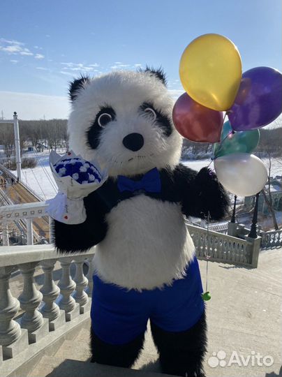 Мишка аниматор панда медведь ростовая кукла