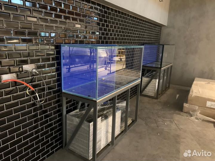 Аквариум для продажи живой рыбы