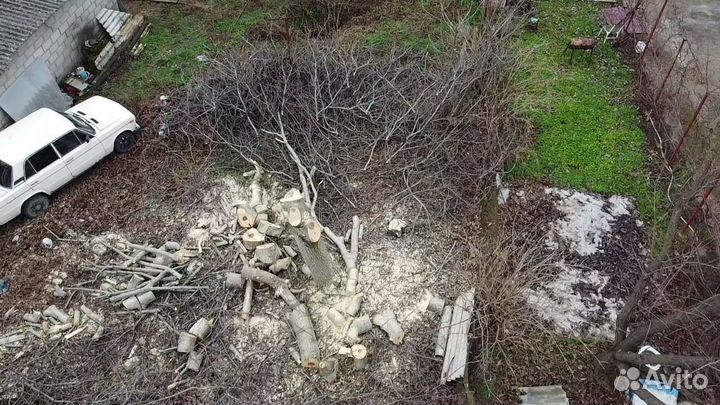 Покос травы, спил деревьев