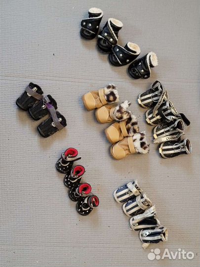 Обувь для маленьких собак