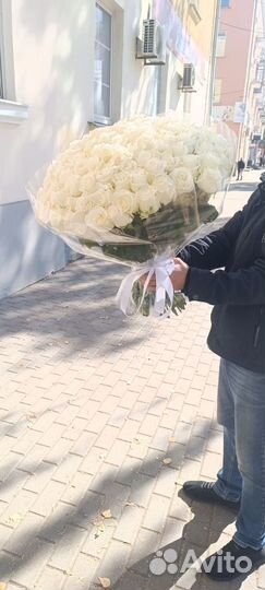 Букет из 101 розы. Цветы с доставкой