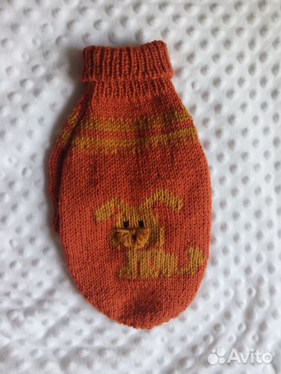 Одежда для животных