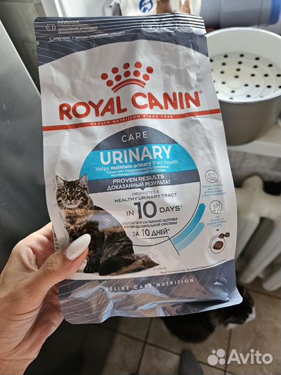 Корм для кошек royal canin urinary