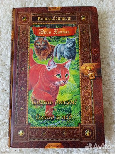 Книги коты воители