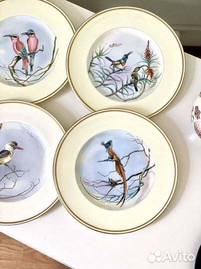 Wedgwood тарелки с птицами, ручная роспись, Англия