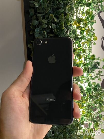 iPhone 8, 64 ГБ