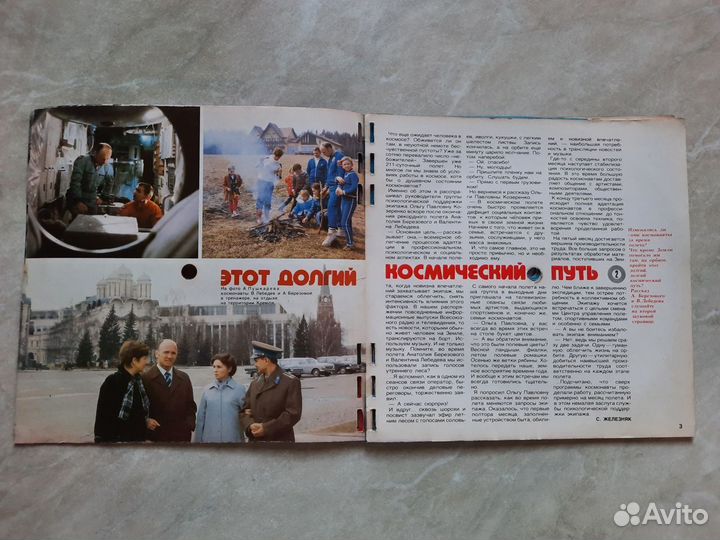 Пластинки в 