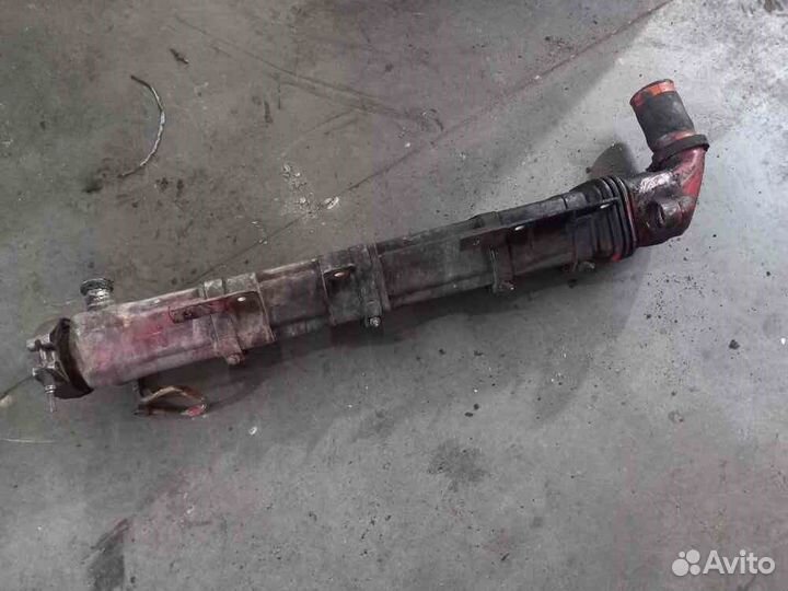 Охладитель Egr