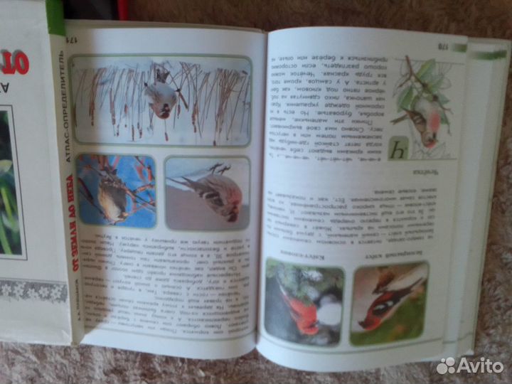 А.А.Плешаков 