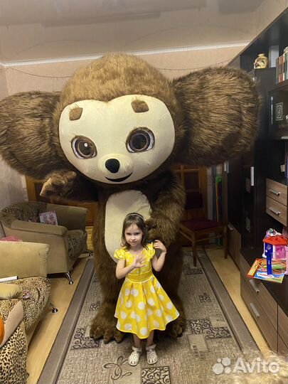 Поздравление от героев,аниматор