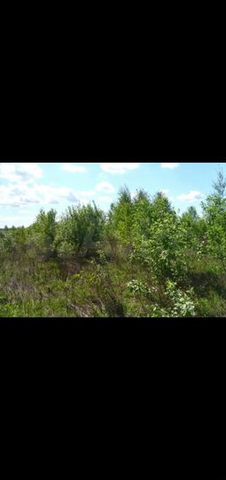 Участок 6 сот. (СНТ, ДНП)