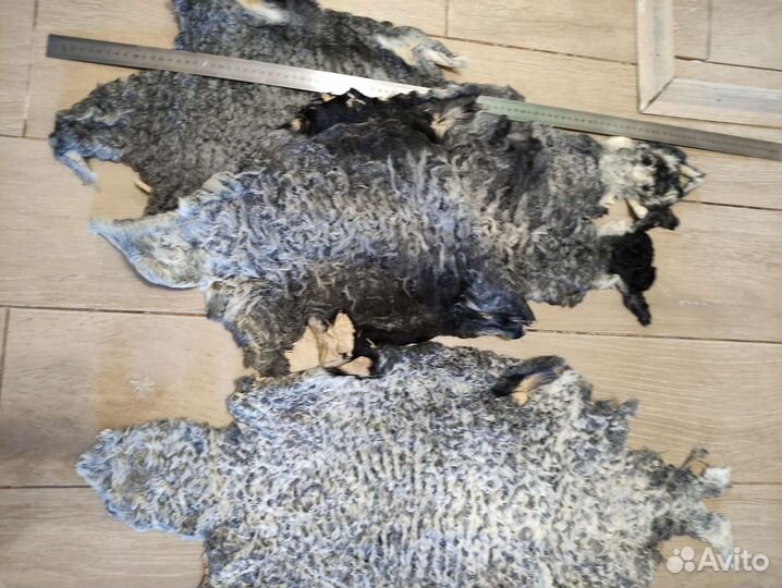 Мех. Мутон. Каракуль. Кролик