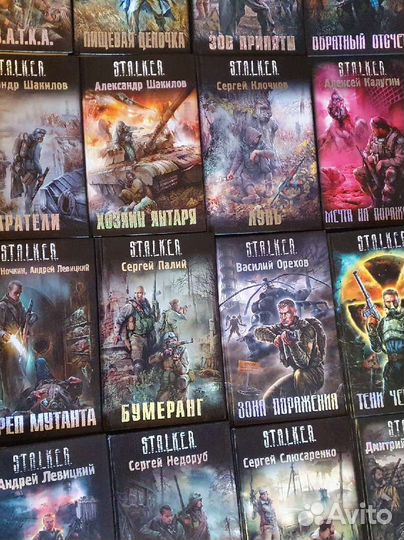 Серия Книг stalker