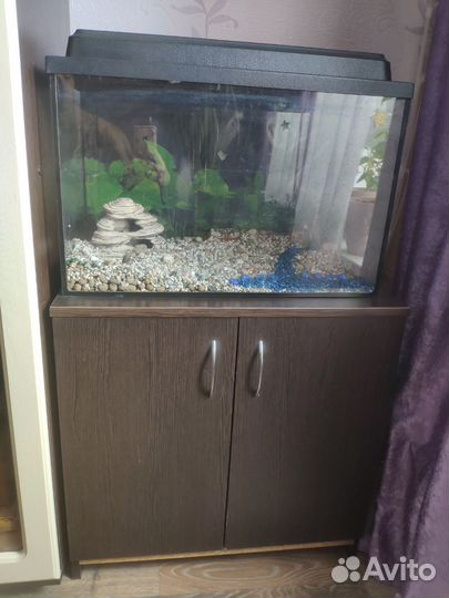 Аквариум с тумбой 50 литров