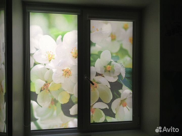 Рулонные шторы с фотопечатью