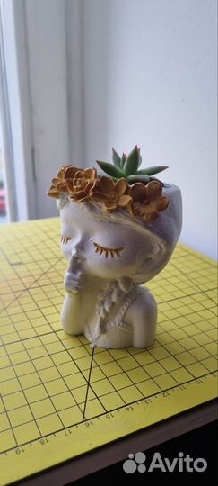 Кашпо и сукулент