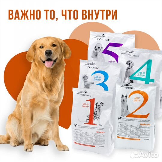 Сухой корм для собак средних и крупных пород супер