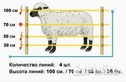 Мощный электропастух