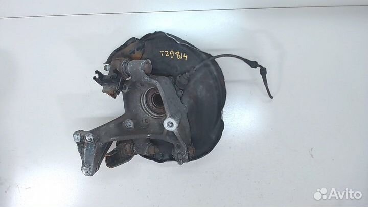 Ступица (кулак, цапфа) Volkswagen Tiguan, 2008