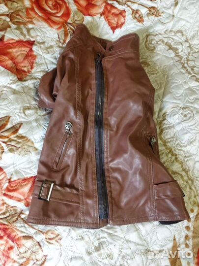 Куртки для собак