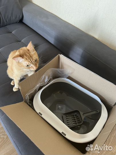 Лоток для котят и кошек