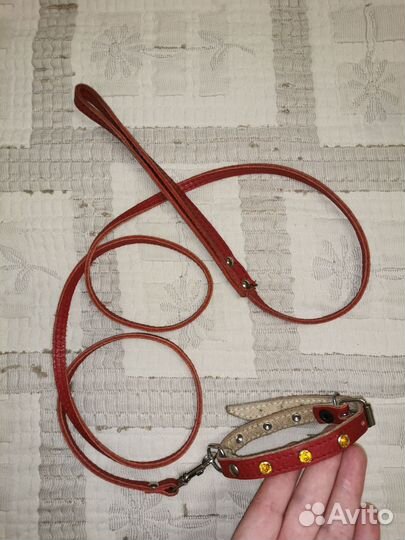 Ошейник и поводок для маленькой собаки