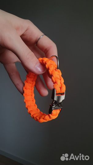 Ошейники для собак мелких пород