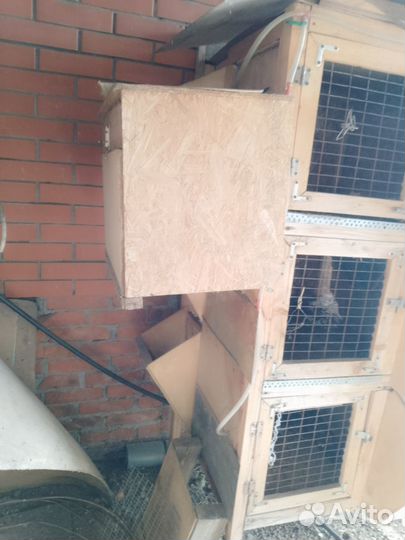 Клетка для кролика