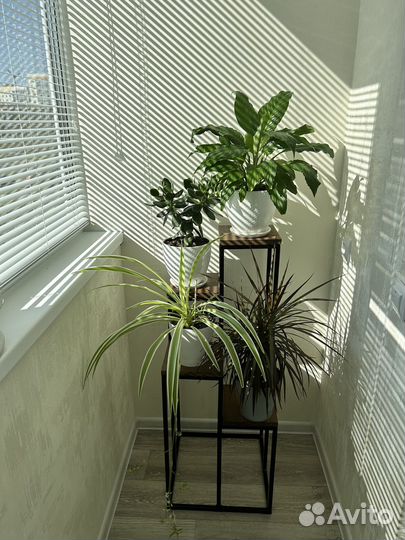 Цветочница