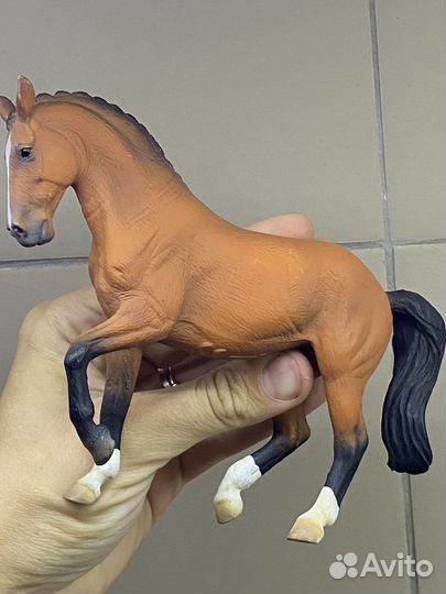 Ганновер кобыла