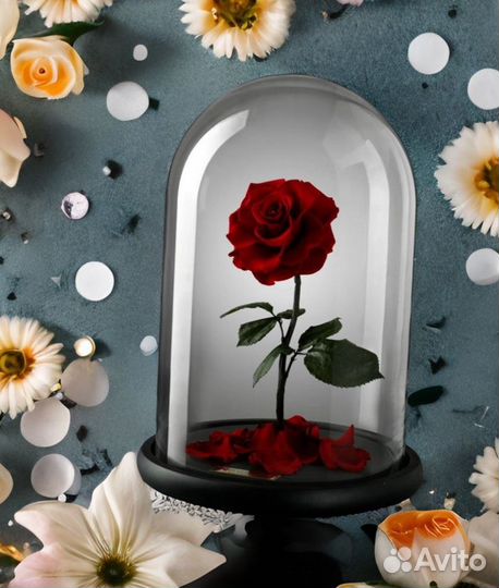 Стабилизированная Роза в колбе на Рождение ребенка