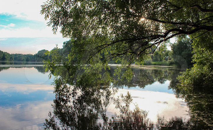 Участок 11,1 сот. (ИЖС)