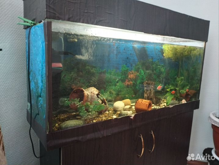 Аквариум с тумбой 100 литров
