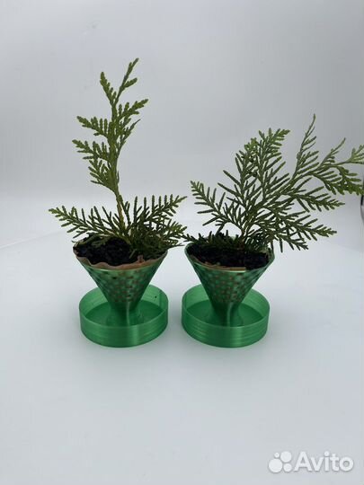 Черенкование, кашпо для разведения