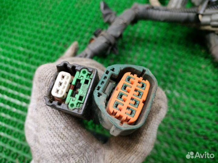 Проводка (коса) подкапотная Infiniti Fx35 S50