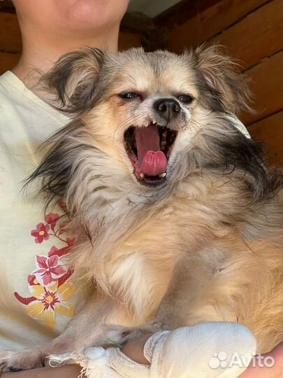 Кроху выбросили на улицу