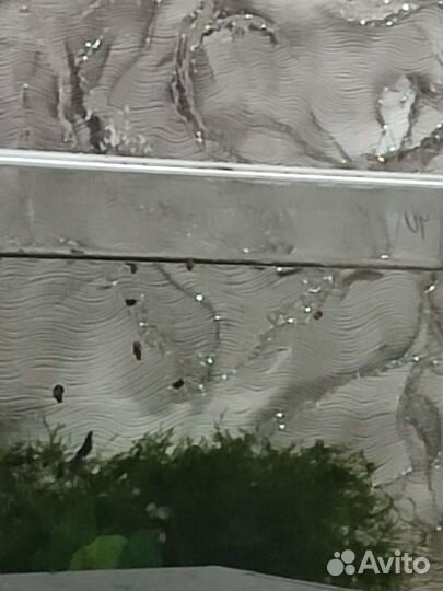 Улитки катушки