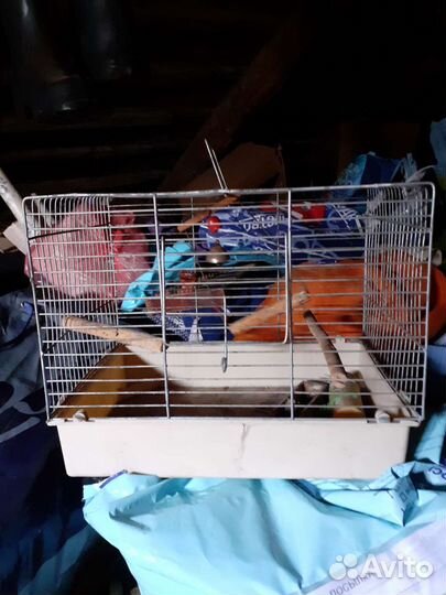 Клетка для попугая или грызунов