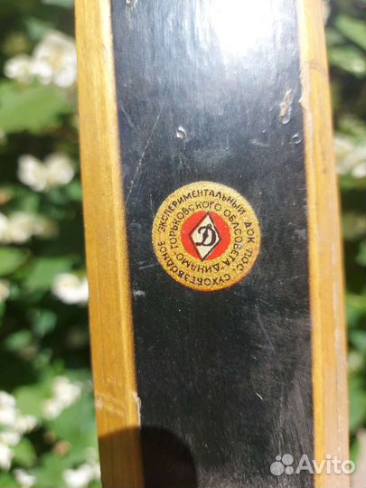 Беговые лыжи