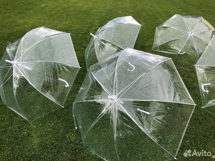 Аренда прозрачных зонтов
