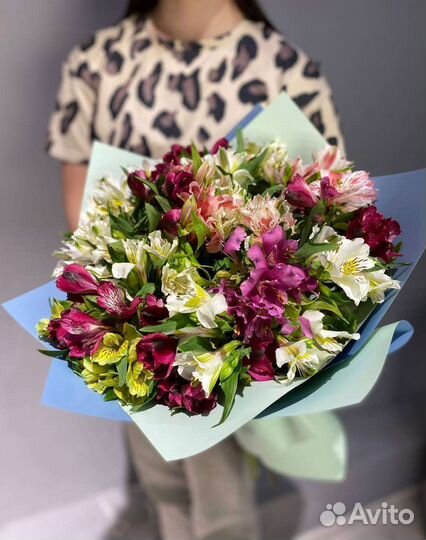 Альстромерия