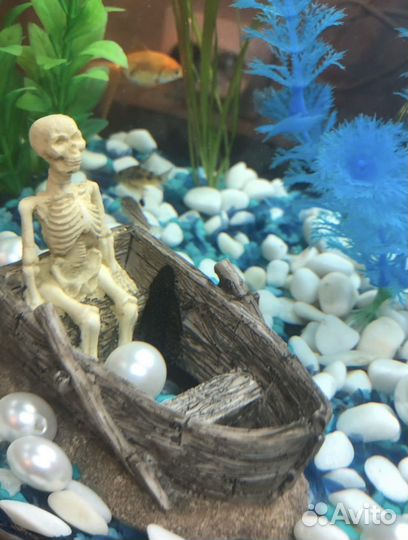 Аквариум для рыб