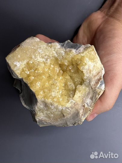 Септария (5)