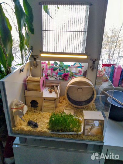 Террариум для мелких животных, грызунов, черепах
