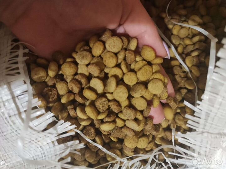 Корм для собак и кошек