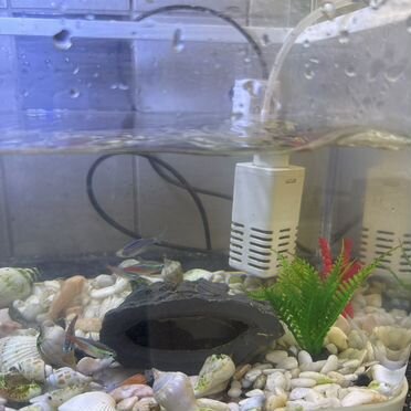 Аквариум с рыбками 15 лит