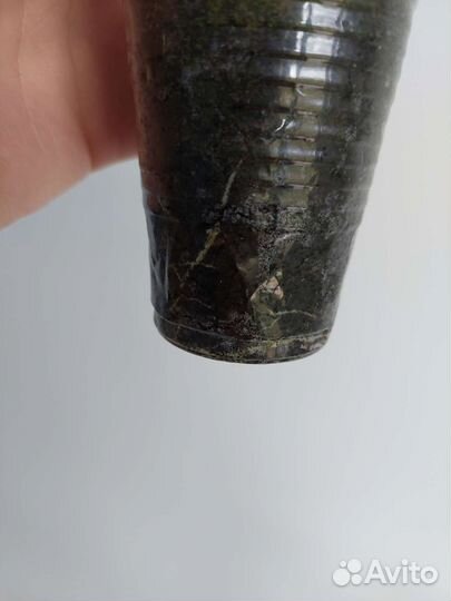 Фикус Абиджан