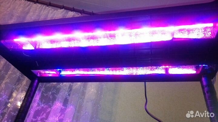 Стеллаж с подсветкой для рассады цветов