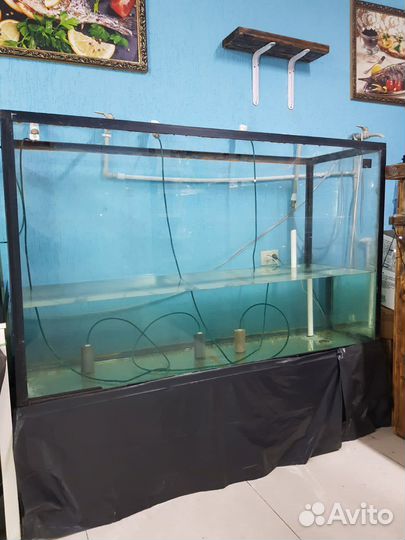 Аквариум